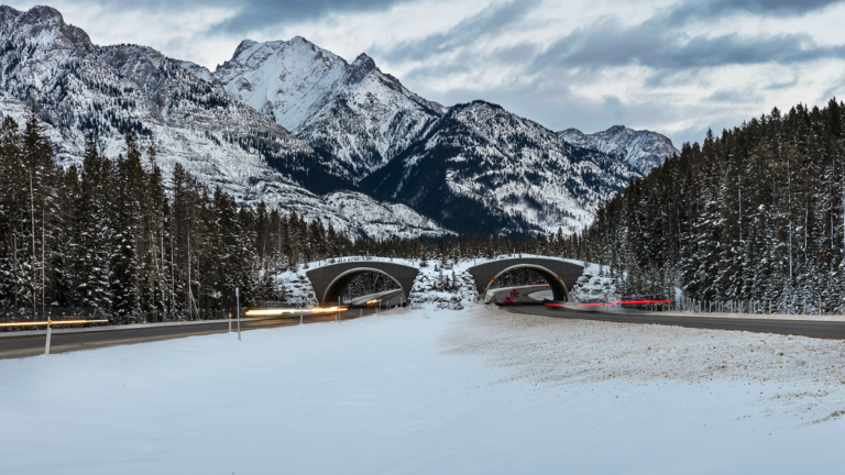 Rocky Mountain Connection: Your Ultimate Guide to Mountain-Inspired Living rocky mountain connection