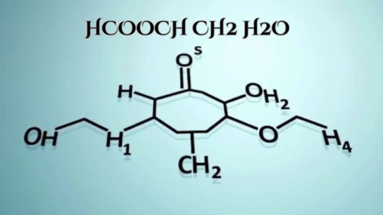 Understanding the HCOOCH CH2 H2O Reaction: A Complete Beginner-Friendly Guide hcooch ch2 h2o